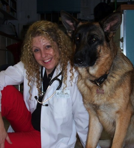 Home | Veterinarian in Orlando, FL | Animal Emergency Center